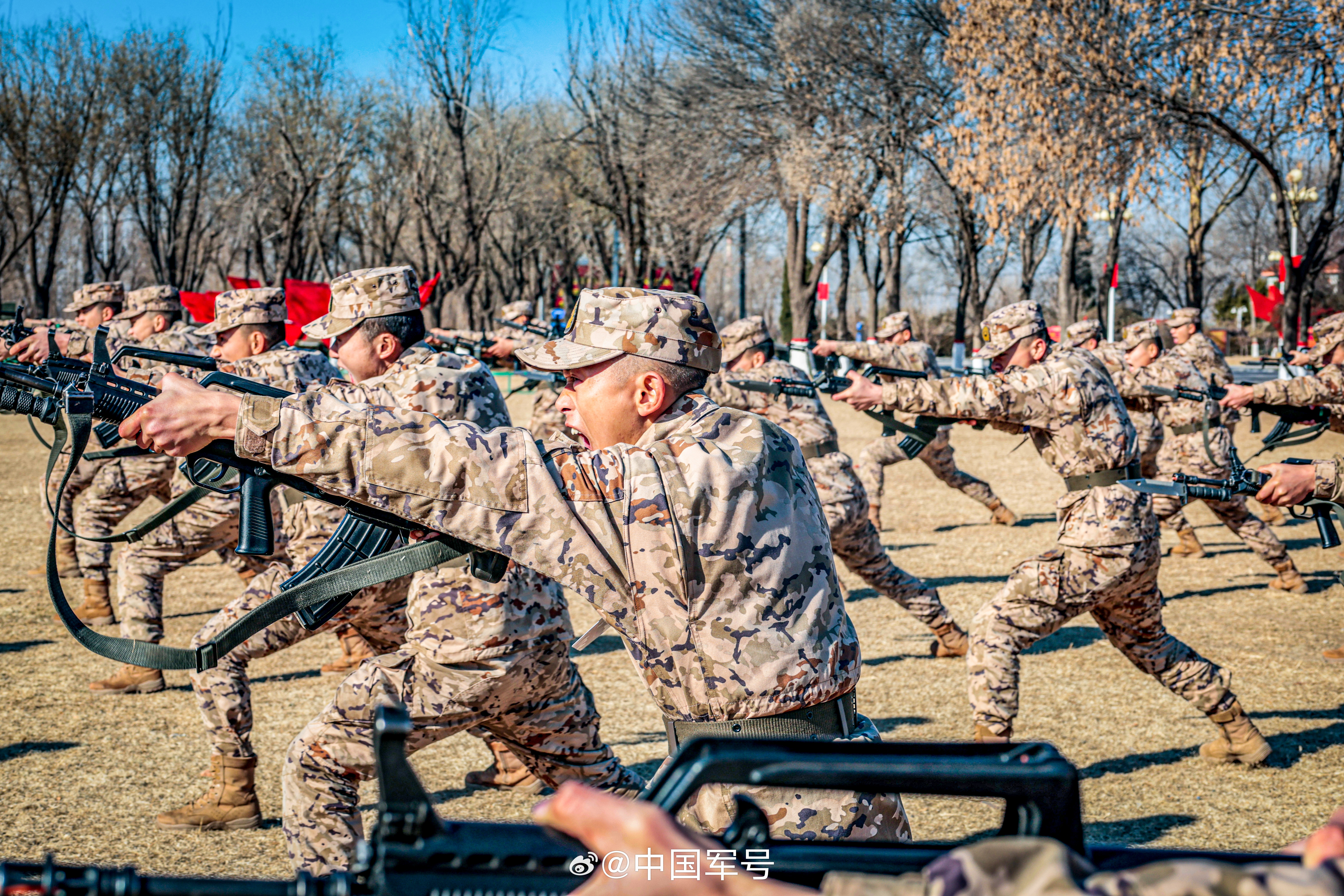 od体育入口-球队实战状态高涨：备战战术磨练不断的简单介绍