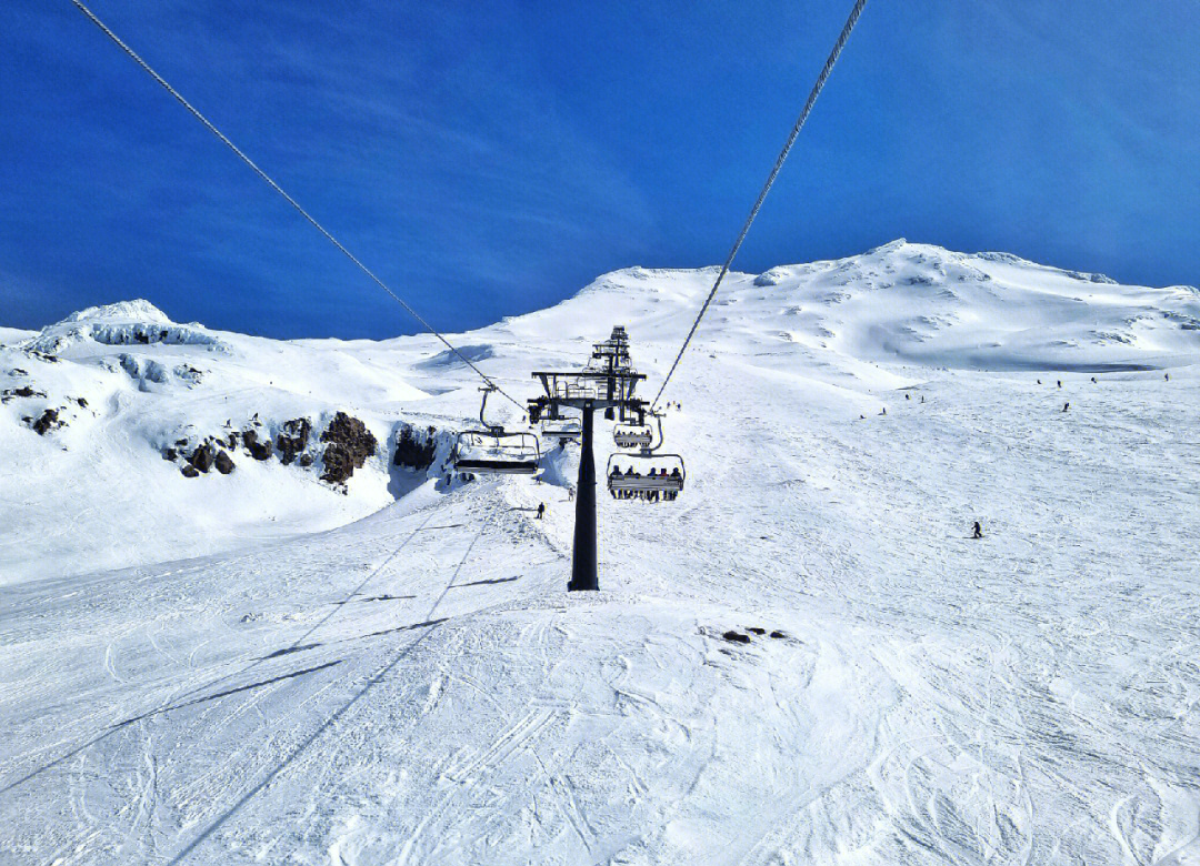 od体育下载-新西兰选手在滑雪比赛中勇夺金牌，表现抢眼